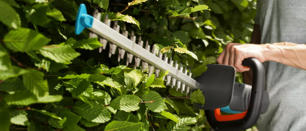 Działkowcu - zadbaj o teren przed swoją działką !!!